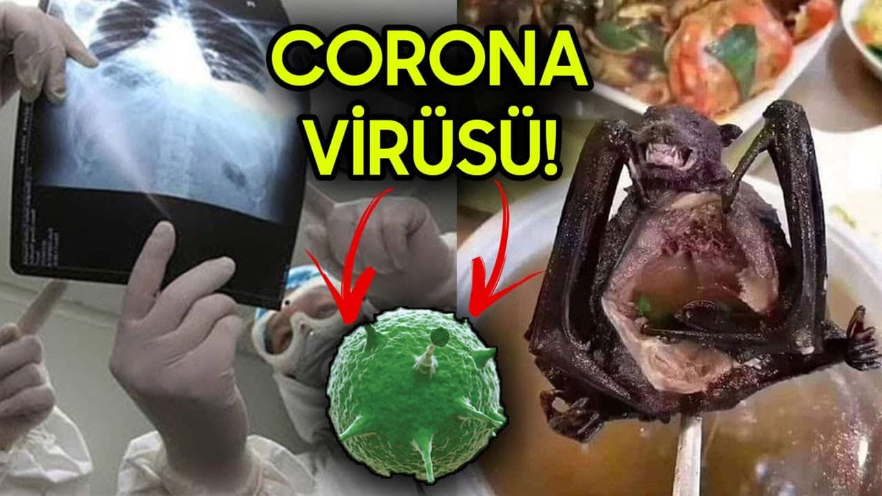 Corona Virüsünden Korunma
