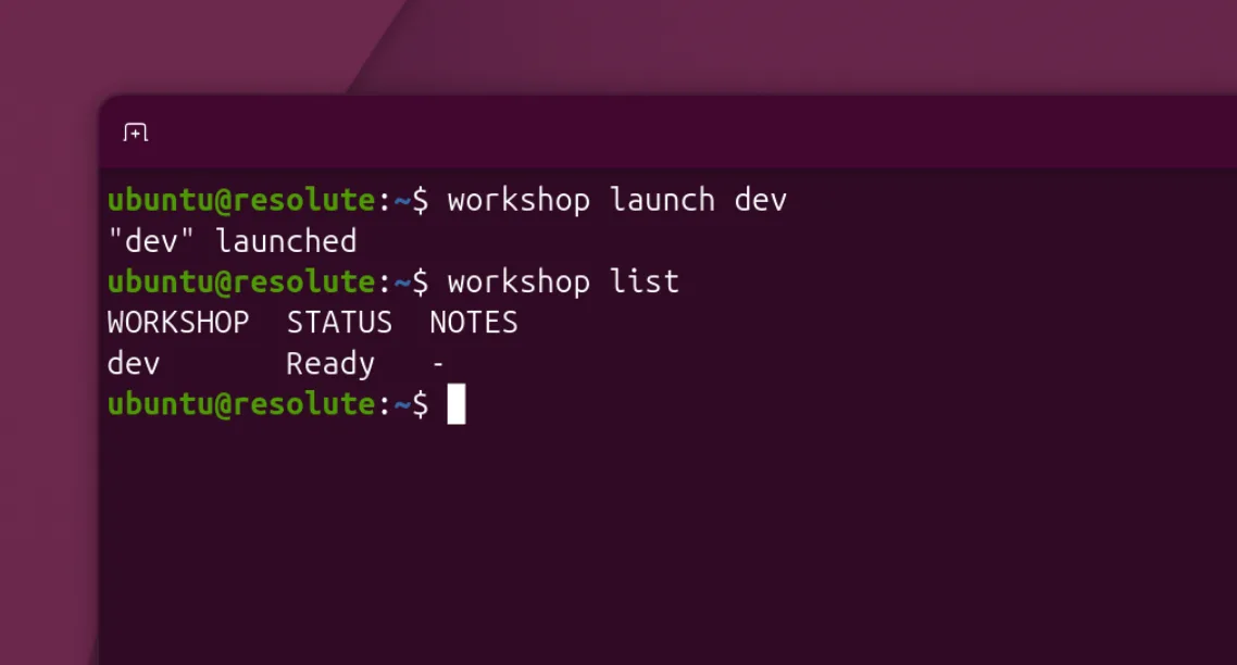 Ubuntu 26.04 LTS'te terminalde workshop launch dev ve workshop list komutlarının çalıştırıldığı resmî ekran görüntüsü