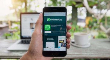 whatsapp web