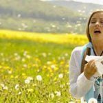 Polen Alerjisi nedir?