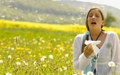 Polen Alerjisi nedir?