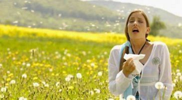 Polen Alerjisi nedir?