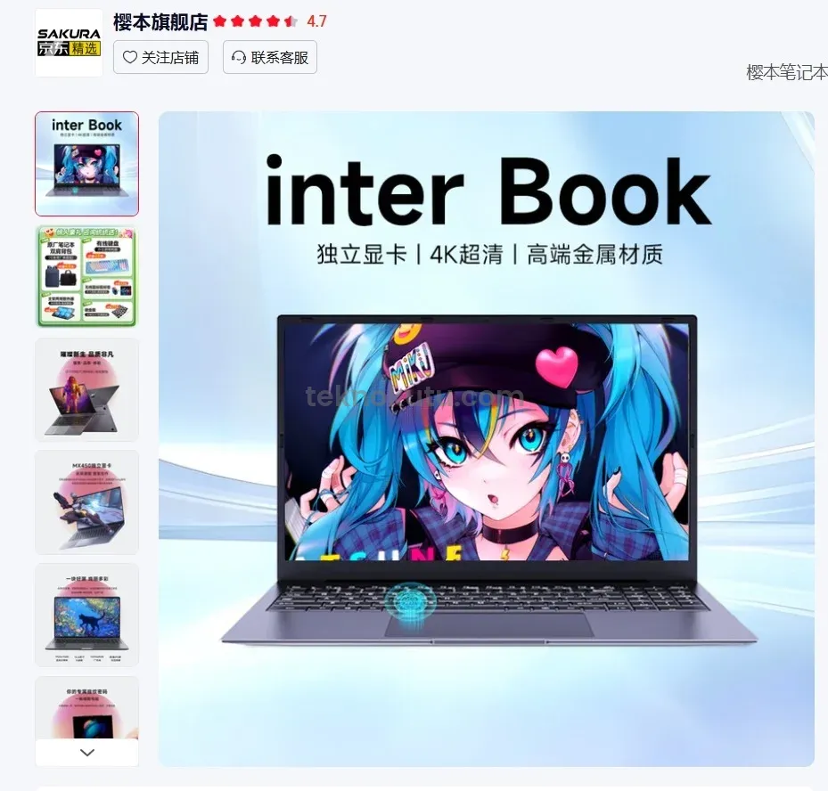 interbook GTX 1060