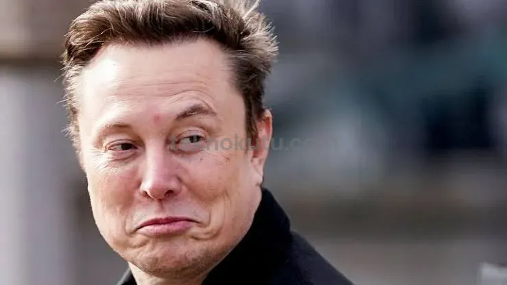 Elon Musk’ın Yeni Yapay Zeka Hamlesi: Macrohard Markası Ortaya Çıktı