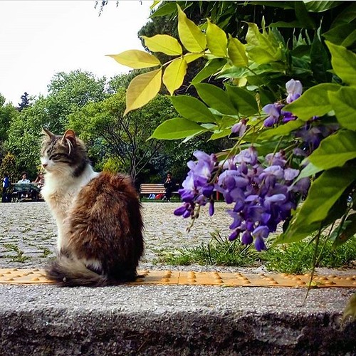 Haftanın Fotoğrafı: Şansınızı Yakalamak İçin Gönderin