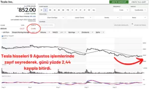 Tesla Hisse Satışı: Gary Black Tüm Hisselerini Sattı