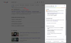 Google Simplify Özelliği ile Bilgi Basitleştirme
